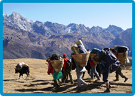 Trekking Tours in Sikkim