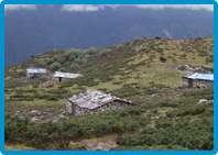 Trekking Tours in Sikkim
