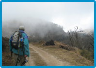 Trekking Tours in Sikkim