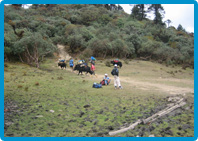 Trekking Tours in Sikkim