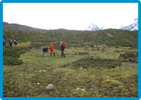 Trekking Tours in Sikkim