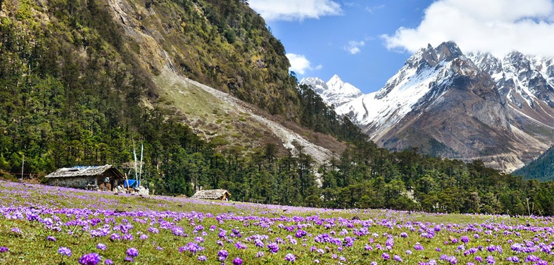 Varsey Trek - Varsey Trekking Tour Sikkim